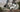 Vecocraft E-Trekking Bike ARTEMIS NEO 28'',Weiß VecoCraft E-Bike Bild