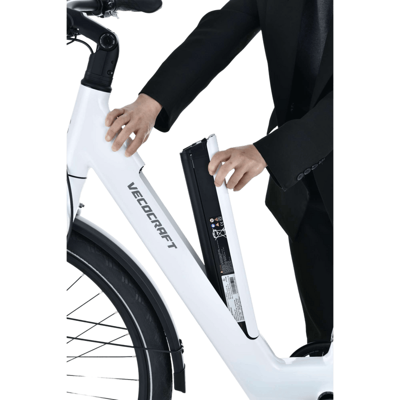 Vecocraft E-City Bike LUNA 2.0 DUAL speed