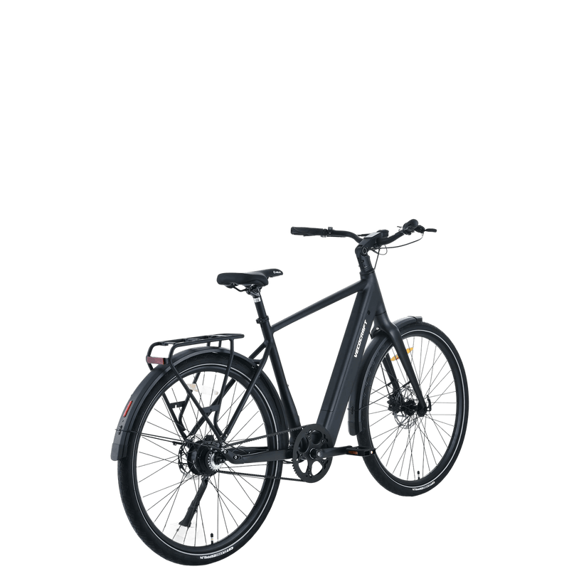 Vecocraft E-City Bike LUNA SOL 1.0 single speed,schwarz