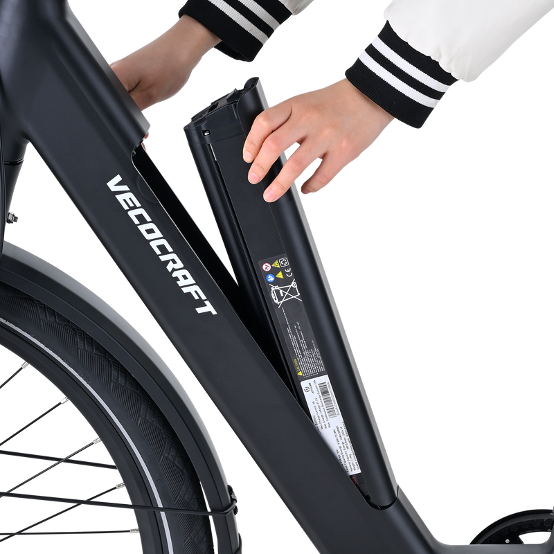 City E-Bike Schwarz Vecocraft LUNA 1.0 single speed