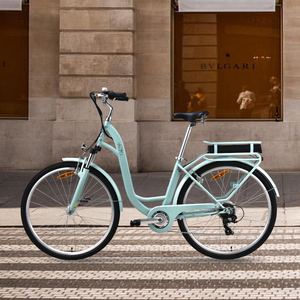 Vecocraft E-City Bike Hebe Grün Minze