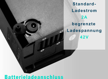 BatteriefurVECOCRAFTEBIKEAthenaundHelios36V13Ah_468WH_-Rucken
